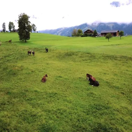 Double In Near Slopes شقة